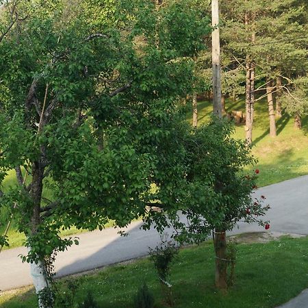 Apartment Drago Rakovica Esterno foto