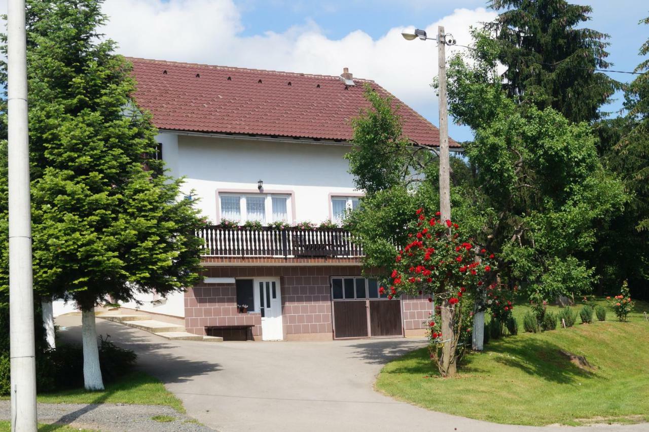 Apartment Drago Rakovica Esterno foto
