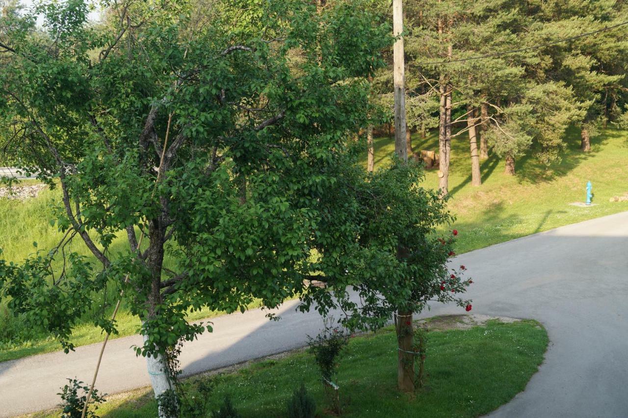 Apartment Drago Rakovica Esterno foto